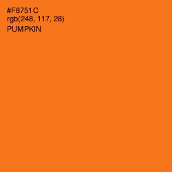 #F8751C - Pumpkin Color Image