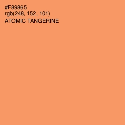 #F89865 - Atomic Tangerine Color Image