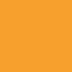 #F8A02D - Sea Buckthorn Color Image