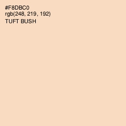 #F8DBC0 - Tuft Bush Color Image