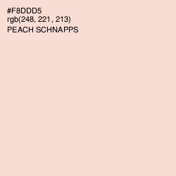 #F8DDD5 - Peach Schnapps Color Image