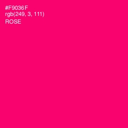 #F9036F - Rose Color Image