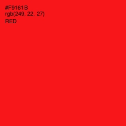 #F9161B - Red Color Image