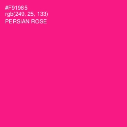#F91985 - Persian Rose Color Image
