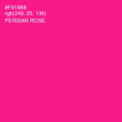 #F91988 - Persian Rose Color Image