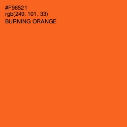 #F96521 - Burning Orange Color Image