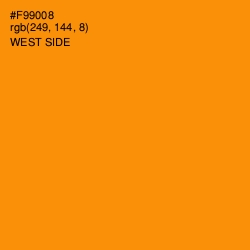 #F99008 - West Side Color Image