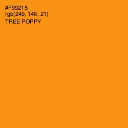 #F99215 - Tree Poppy Color Image