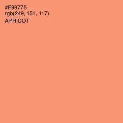 #F99775 - Apricot Color Image