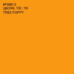 #F99813 - Tree Poppy Color Image