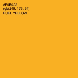 #F9B022 - Fuel Yellow Color Image