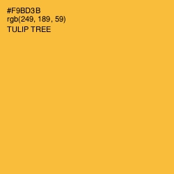 #F9BD3B - Tulip Tree Color Image