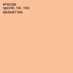 #F9C099 - Manhattan Color Image