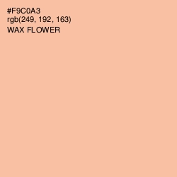 #F9C0A3 - Wax Flower Color Image