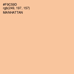 #F9C59D - Manhattan Color Image