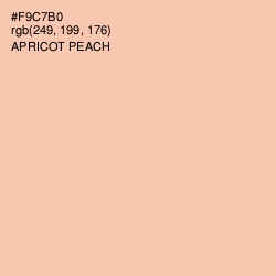 #F9C7B0 - Apricot Peach Color Image