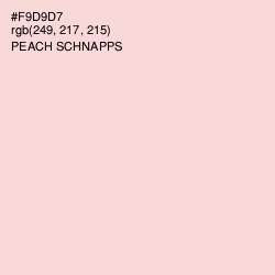 #F9D9D7 - Peach Schnapps Color Image