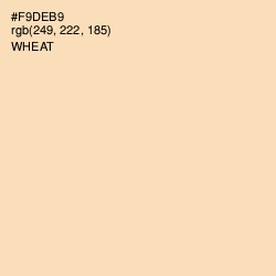 #F9DEB9 - Wheat Color Image