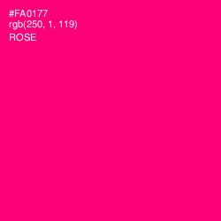 #FA0177 - Rose Color Image