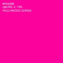 #FA029B - Hollywood Cerise Color Image