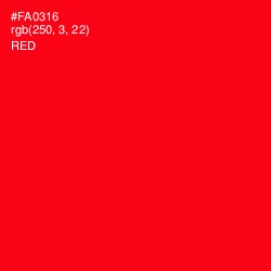 #FA0316 - Red Color Image