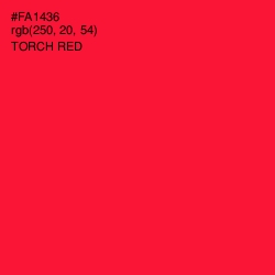 #FA1436 - Torch Red Color Image