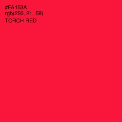 #FA153A - Torch Red Color Image