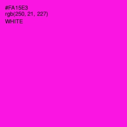 #FA15E3 - Magenta / Fuchsia Color Image