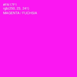 #FA17F1 - Magenta / Fuchsia Color Image