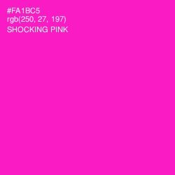 #FA1BC5 - Shocking Pink Color Image