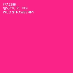 #FA2388 - Wild Strawberry Color Image