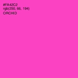 #FA42C2 - Orchid Color Image