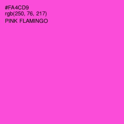 #FA4CD9 - Pink Flamingo Color Image