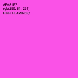 #FA51E7 - Pink Flamingo Color Image