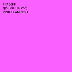 #FA60FF - Pink Flamingo Color Image