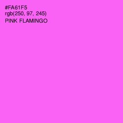 #FA61F5 - Pink Flamingo Color Image