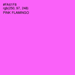 #FA61F8 - Pink Flamingo Color Image
