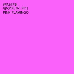 #FA61FB - Pink Flamingo Color Image