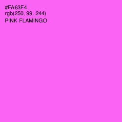 #FA63F4 - Pink Flamingo Color Image
