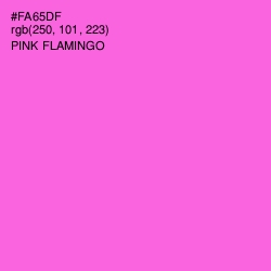 #FA65DF - Pink Flamingo Color Image