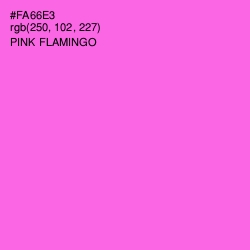 #FA66E3 - Pink Flamingo Color Image