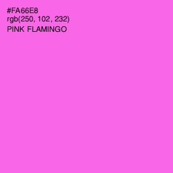 #FA66E8 - Pink Flamingo Color Image