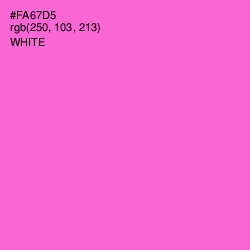 #FA67D5 - Orchid Color Image