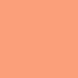 #FA9F7A - Apricot Color Image