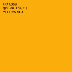 #FAAD0B - Yellow Sea Color Image
