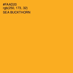 #FAAD20 - Sea Buckthorn Color Image