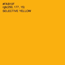 #FAB10F - Selective Yellow Color Image