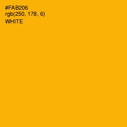 #FAB206 - Selective Yellow Color Image