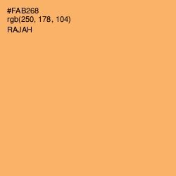 #FAB268 - Rajah Color Image