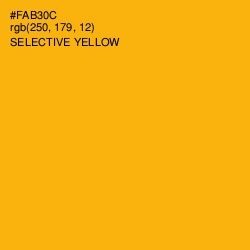 #FAB30C - Selective Yellow Color Image